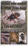 Assassins, Waterscorpions & Other True Bugs