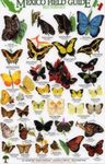 Mexico Field Guides: Butterflies