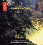 Dawn Chorus
