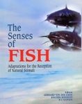 The Senses of Fish