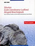 Silurian (Late Llandovery-Ludlow) Atrypid Brachiopods