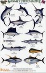 Hawaii Field Guides: Sport Fish [English / Hawaiian]