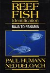 Reef Fish Identification: Baja to Panama