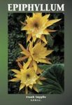 Epiphyllum 1 [English / German]