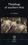 The Mealybugs of Southern Asia