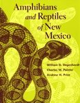 Amphibians and Reptiles of New Mexico