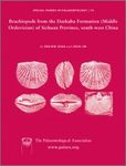 Brachiopods from the Dashaba Formation (Middle Ordovician) of Sichuan Province, South-West China