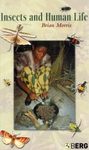Insects and Human Life