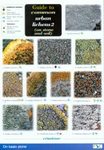 Guide to Common Urban Lichens 2 (on Stone and Soil)
