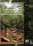 Taxonomy, Life History and Conservation of Giant Reptiles in West Kalimantan