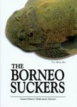 The Borneo Suckers