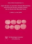 Early Silurian (Llandovery) Orthide Brachiopods from Anticosti Island, Eastern Canada: The O/S Extinction Recovery Fauna