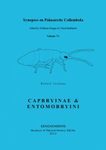 Synopses on Palaearctic Collembola, Volume 7, Part 1: Capbryinae & Entomobryini