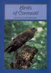 Birds of Cornwall