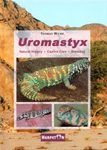 Uromastyx