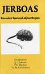 Jerboas
