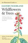 An Illustrated Guide to Eastern Woodland Wildflowers & Trees
