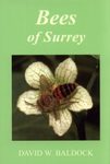 Bees of Surrey