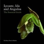 Lycaste, Ida and Anguloa