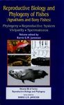 Reproductive Biology and Phylogeny of Fishes (Agnathans and Bony Fishes)