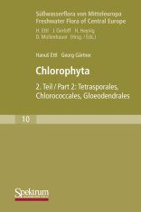 Süßwasserflora von Mitteleuropa, Bd 19/2: Cyanoprokaryota, Part 2