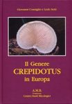 Il Genere Crepidotus in Europa / The Genus Crepidotus in Europe