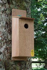 camera ready nest box