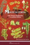 Molteno Ferns