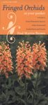 Fringed Orchids in Your Pocket