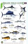 Belize Field Guides: Sport Fish