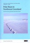 Polar Bears in Northwest Greenland