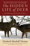 The Hidden Life of Deer