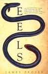 Eels
