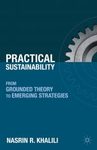 Practical Sustainability