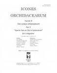 Icones Orchidacearum, Fascicle 8