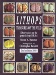 Lithops – Treasures of the Veld