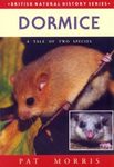 Dormice