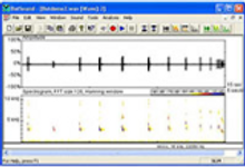 Pettersson BatSound Software Upgrade to v4.x
