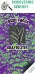 Graptolites: Fossil Focus Guide