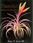 Tillandsia II