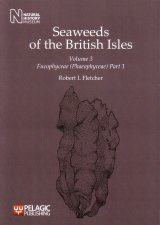 Seaweeds of the British Isles Volume 1 Part 3b Bangiophycidae