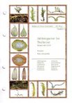 Bildatlas der Moose Deutschlands [Photographic Atlas of German Mosses], Fascicle 6