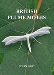 British Plume Moths