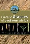 Guide to Grasses of Southern Africa