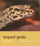 Leopard Gecko