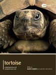 Tortoise