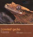 Crested Gecko