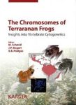 The Chromosomes of Terraranan Frogs