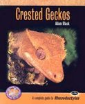 Crested Geckos