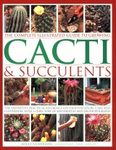 The Complete Illustrated Guide to Growing Cacti & Succulents
